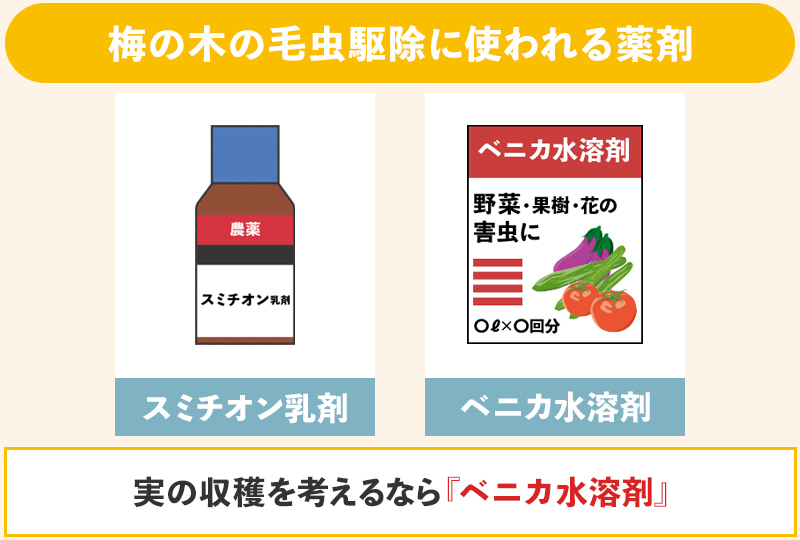 梅の木の毛虫防除の消毒では、スミチオン乳剤とベニカ水溶剤を使う