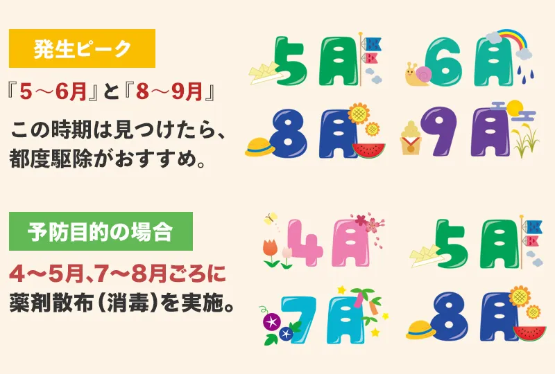 チャドクガ駆除は5～6月と8～9月の間にするのがいい