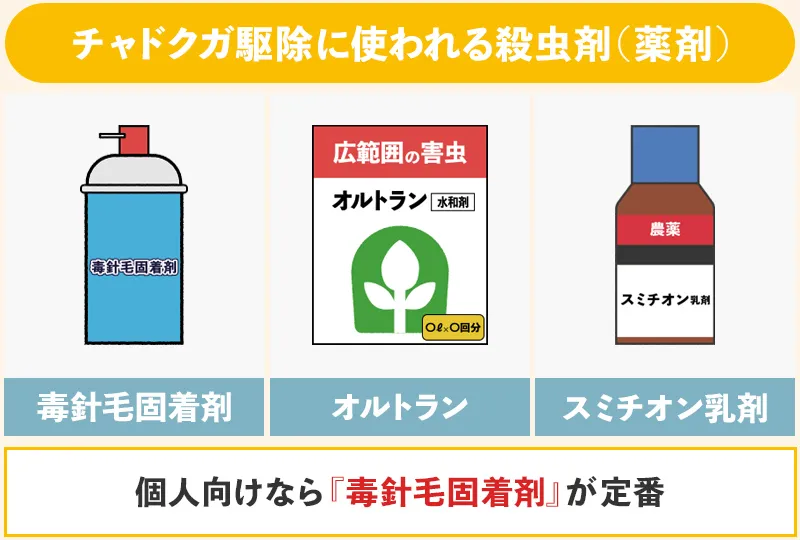 チャドクガ駆除に使われる殺虫剤