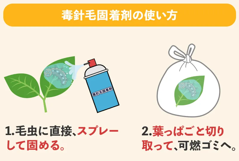 毒針毛固着剤を使ったチャドクガ駆除のやり方