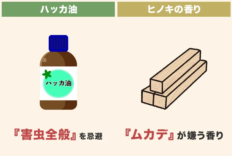 ムカデ対策にハッカ油は効果がないのか？