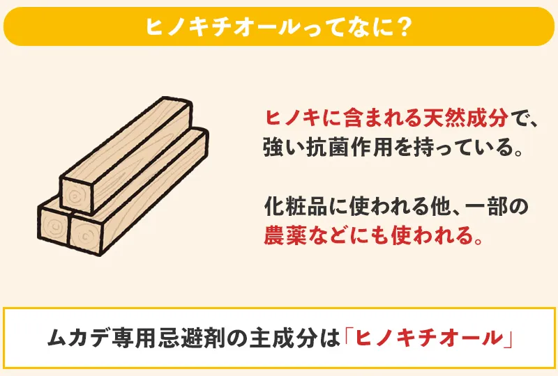 ムカデはハッカ油よりもヒノキの香りを嫌う