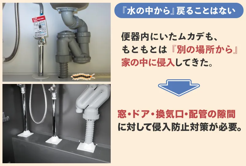 トイレとは別の場所から家の中に侵入してくる