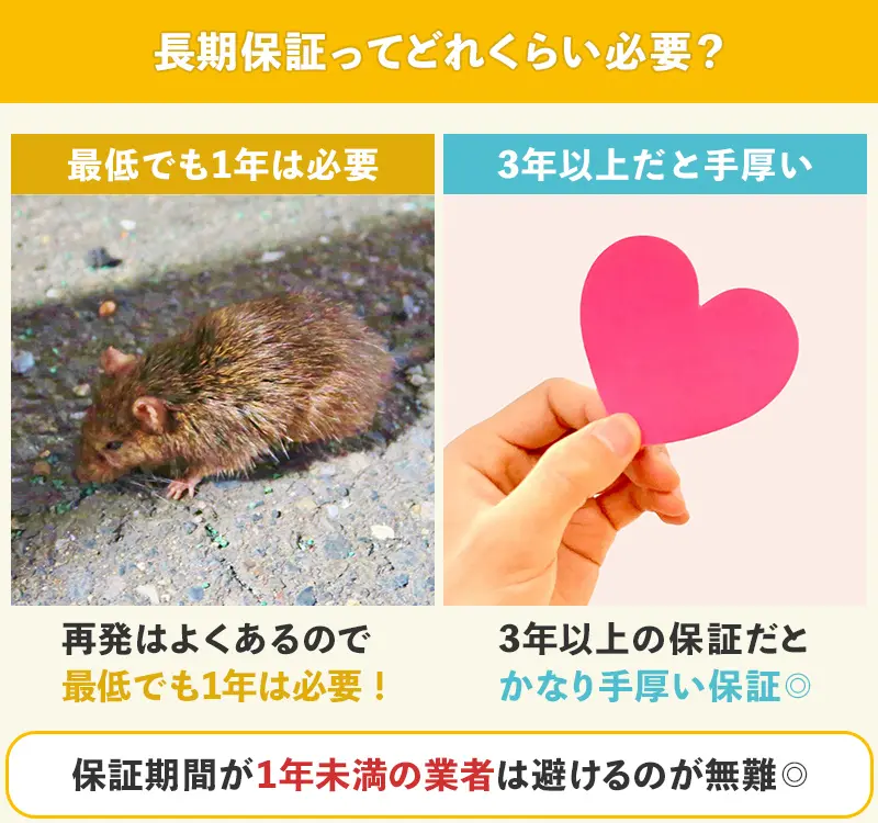 ネズミ駆除後の再発保証は期間に注意