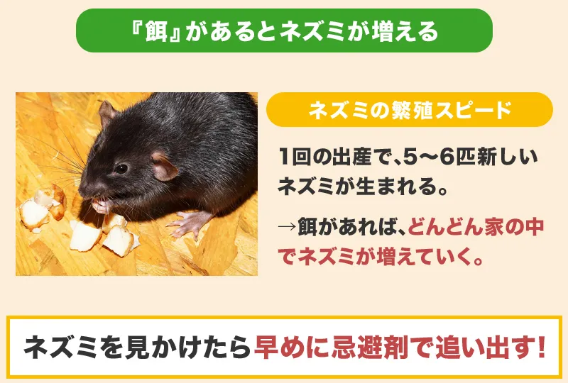 餌が手に入りやすいとネズミが増える