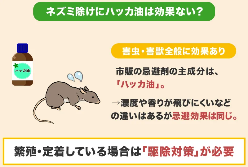 ネズミ除けにハッカ油は効果ないのか