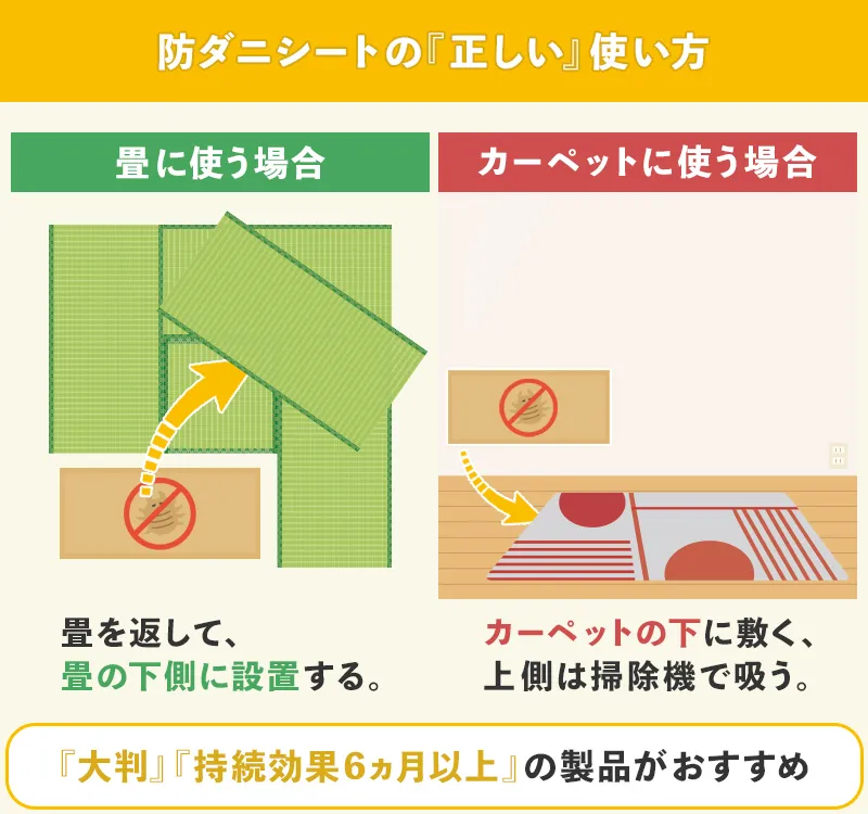 畳・カーペットの下には防ダニシートを設置