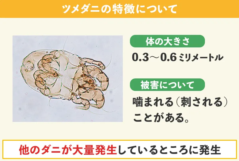 ツメダニの発生場所