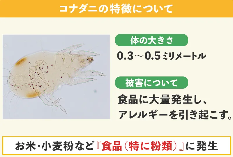 コナダニの発生場所