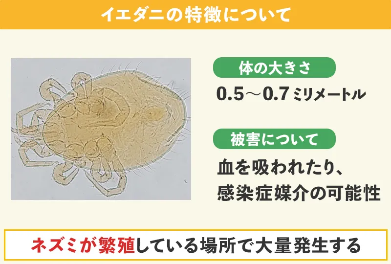 イエダニの発生場所