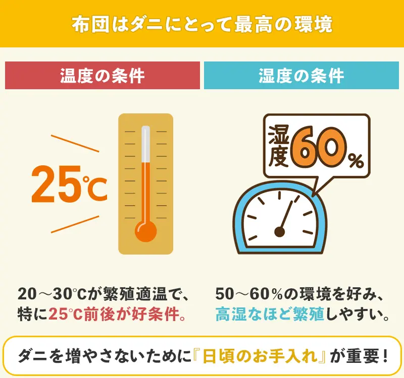 布団にダニが大量発生する原因