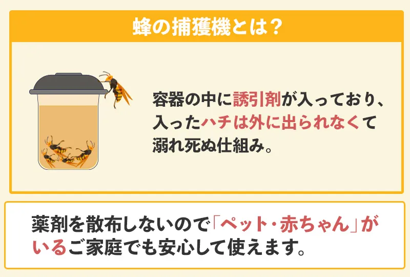 蜂捕獲機を設置して駆除する