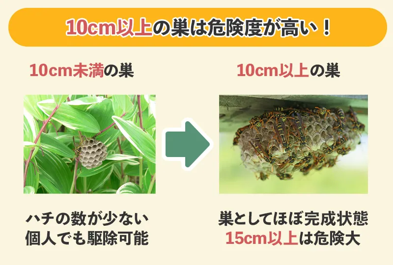 10cm以上の蜂の巣は危険。15cm以上なら業者依頼が安心